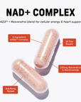NAD+ Complex - Information