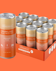 Orange Fizz Sparkling Electrolytes - Product Mockup