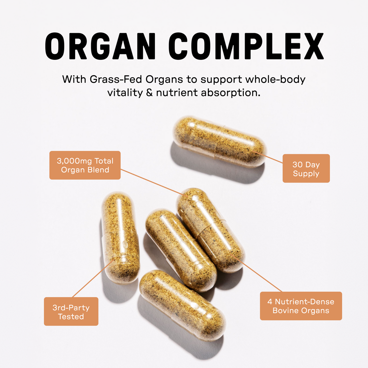 Organ Complex - Info