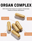 Organ Complex - Info