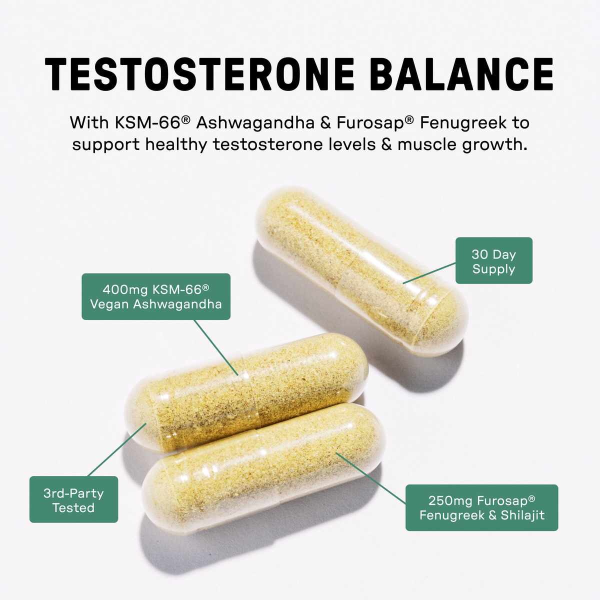 Testosterone Balance - Info