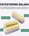 Testosterone Balance - Info