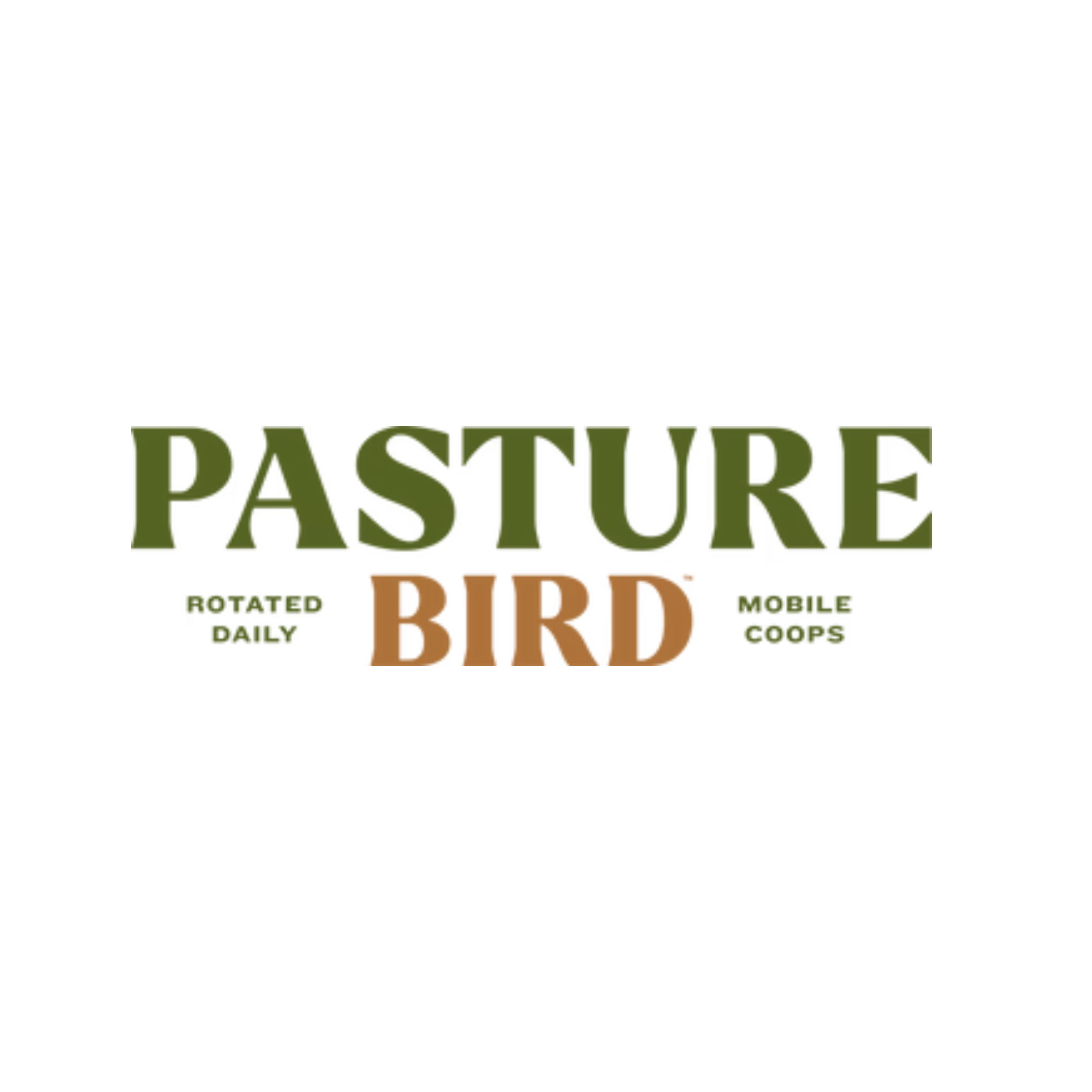Pasture Bird Chicken
