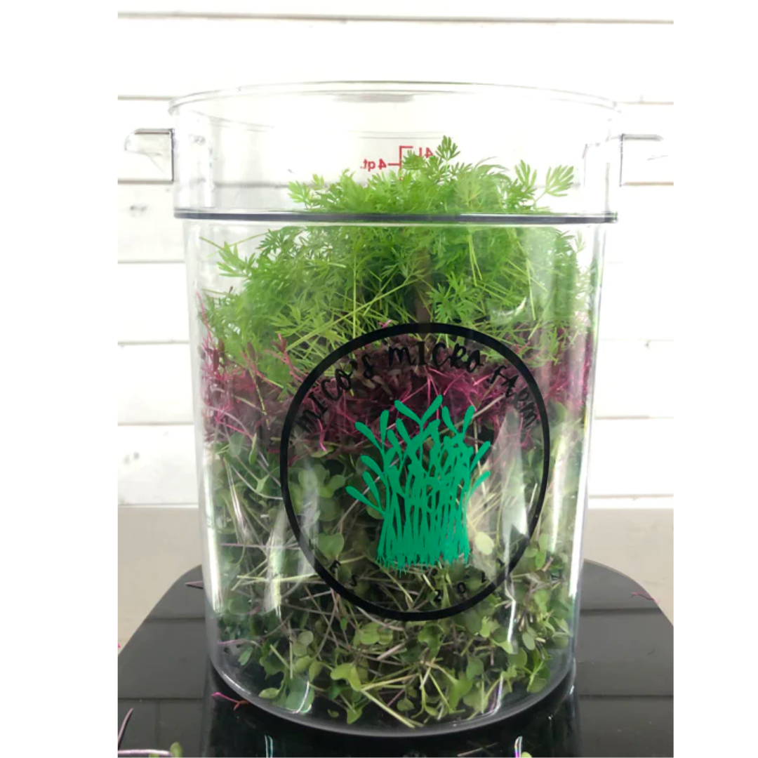 Mico'S Micro Farm