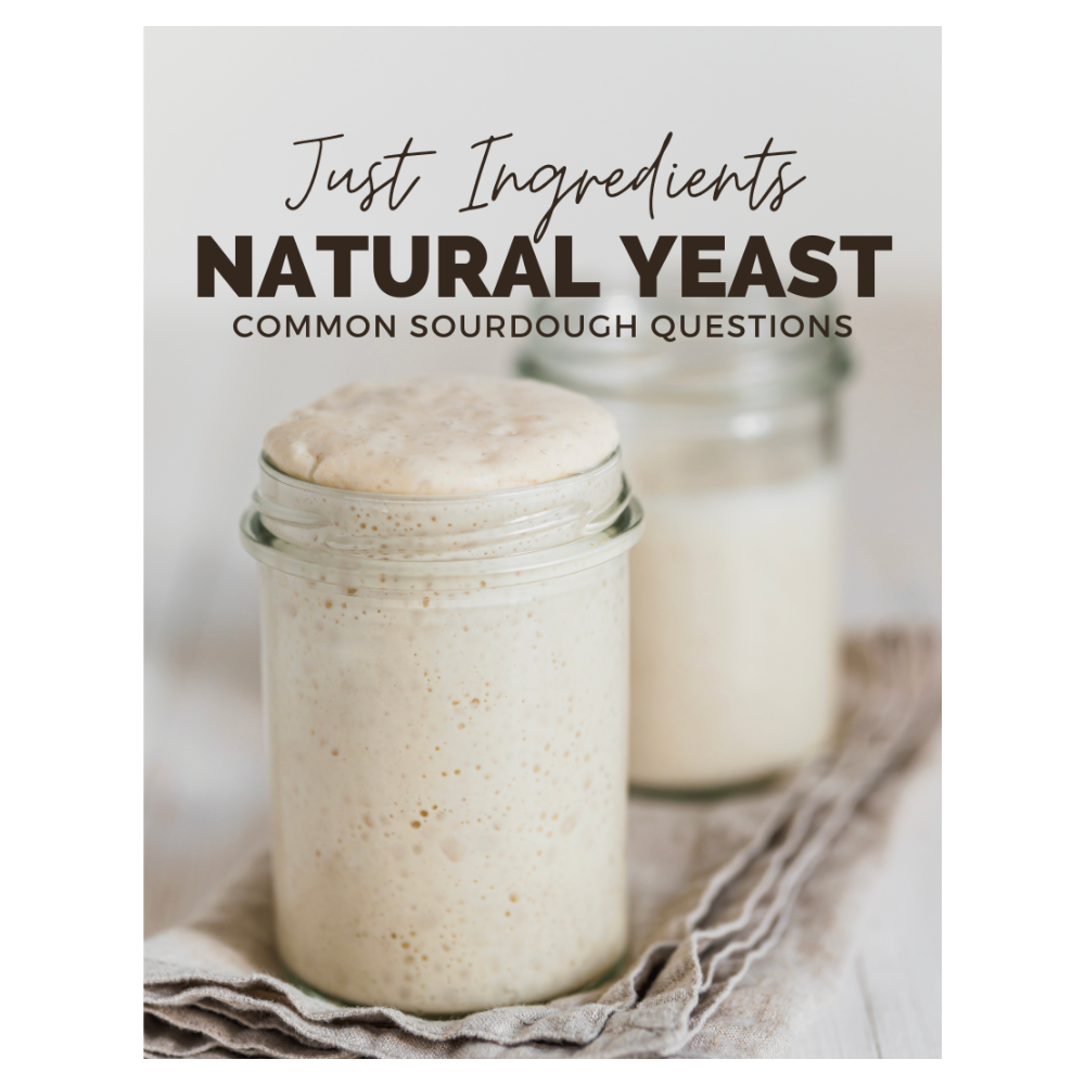 Two glass jars containing natural yeast with a bubbly surface, placed on a light-colored cloth.